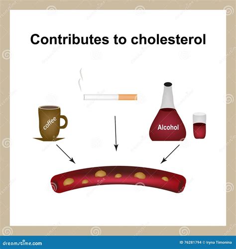 alcohol impact cholesterol test|can alcohol increase ldl cholesterol.